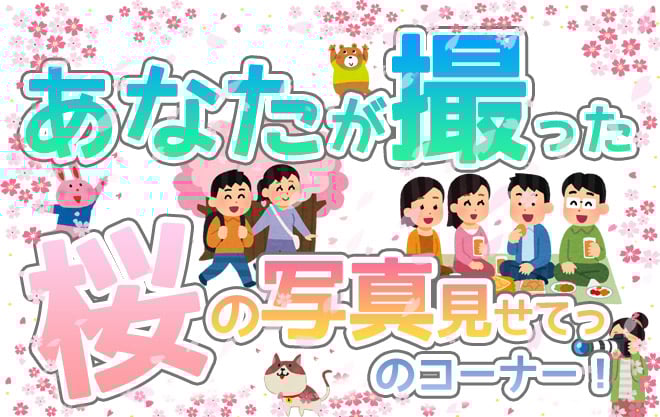 【3S】あなたが撮った桜の写真見せてっ　のコーナー！