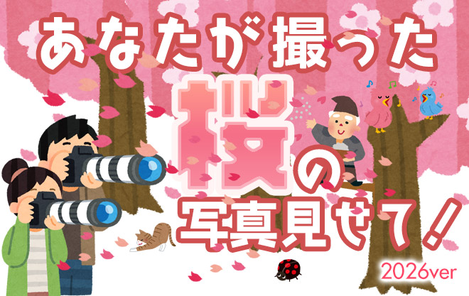 あなたが撮った桜の写真見せてっ！2026ver