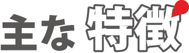 主な特徴