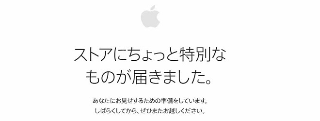 ストアにちょっと特別なものが届きました。