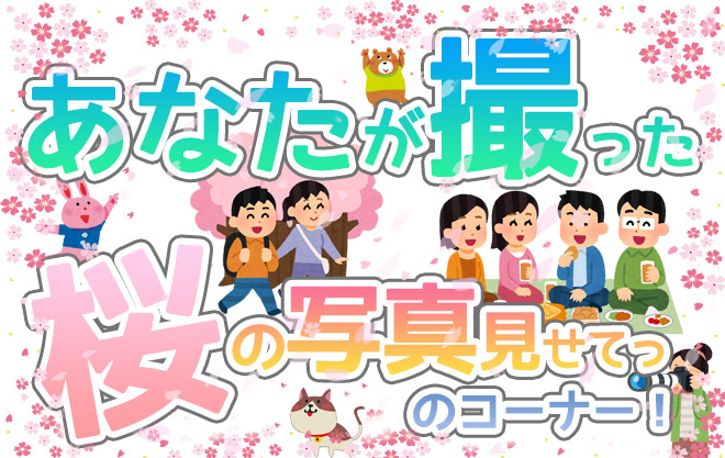 あなたが撮った桜の写真見せてっのコーナー!